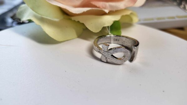 Ankh zilveren ring